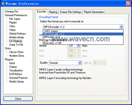 WinAMP Supported Encoding formats